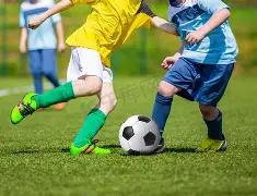 巴西队败给,阿根廷,主帅多里瓦,开云体育入口,开云体育官网,开云体育登录,开云体育在线,开云体育中国