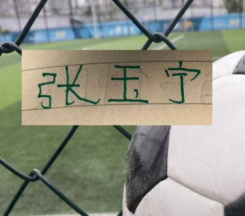 双色球,期专家质合,分析及前区,开云体育入口,开云体育官网,开云体育登录,开云体育在线,开云体育中国
