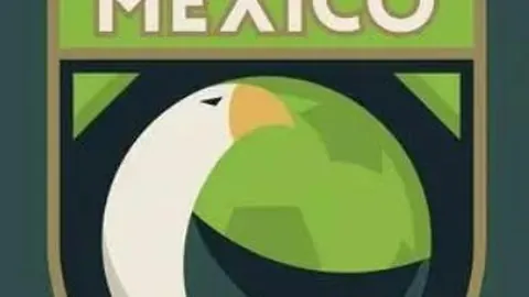 巴洛特利成焦點之谜：揭秘那场赛事独特之处